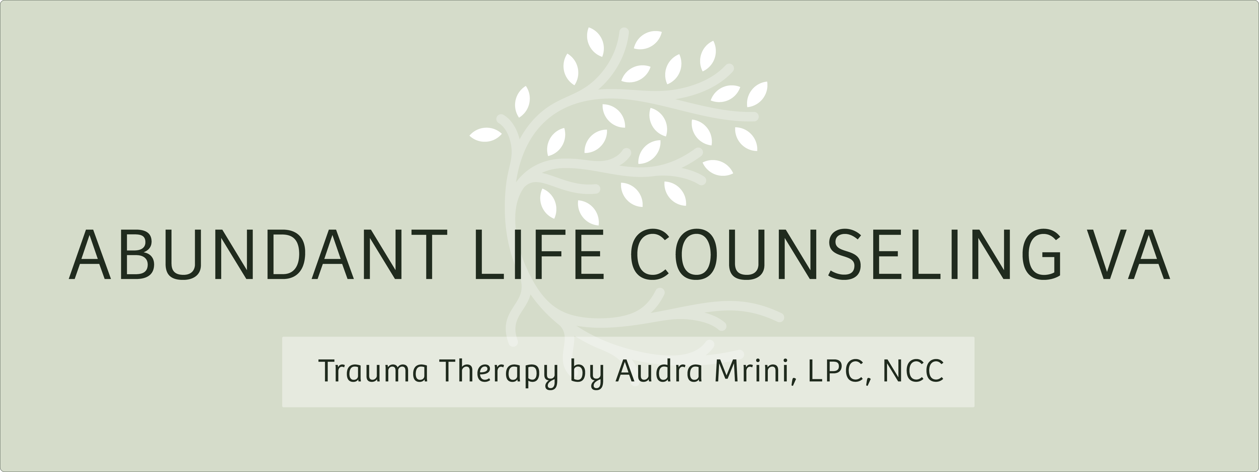 Abundant Life Counseling VA 